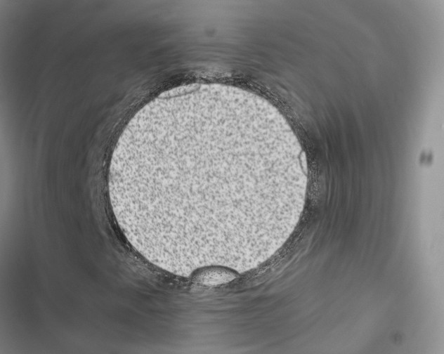 X0000116441345201001191523