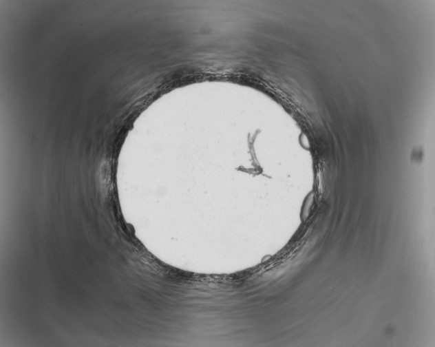 X0000116441347201001191523