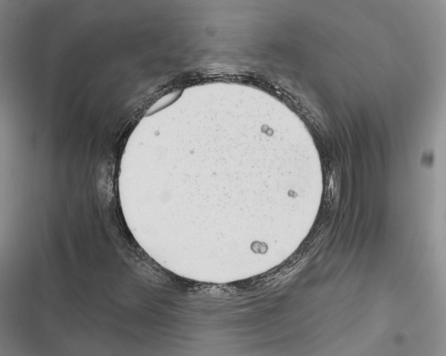 X0000116441348201001191523