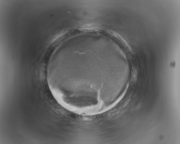 X0000116441350201001191523