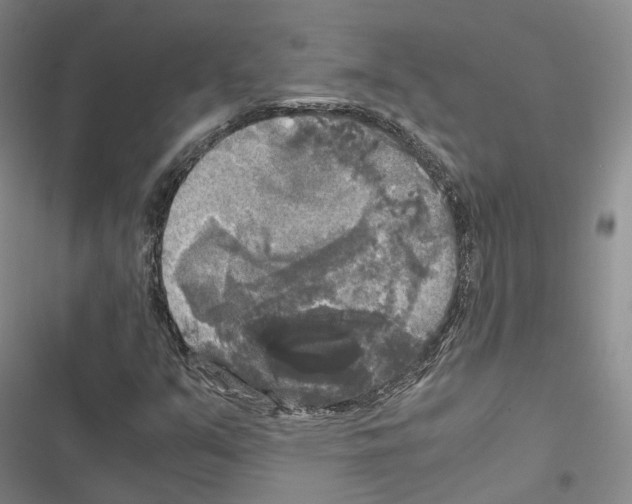 X0000116441351201001191523