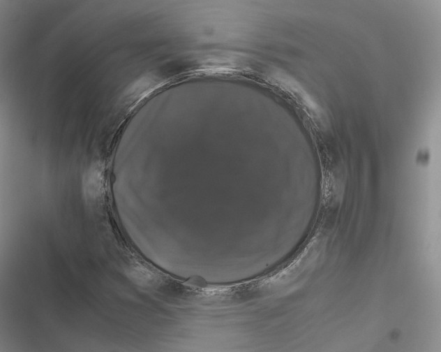 X0000116441353201001191523