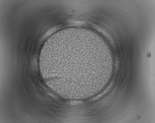 X0000116441354201001191523