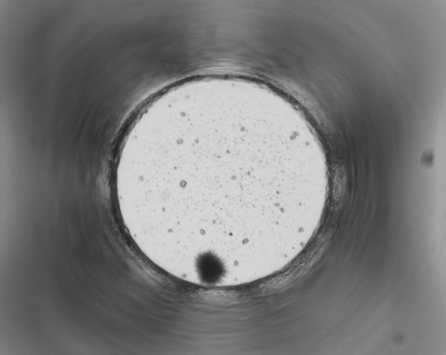 X0000116441356201001191523