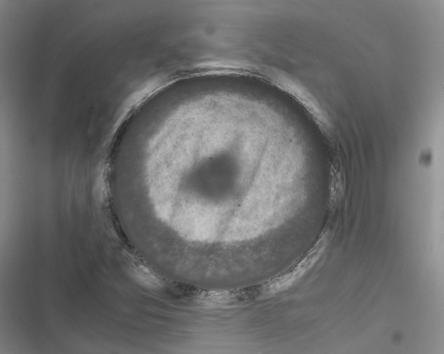 X0000116441357201001191523