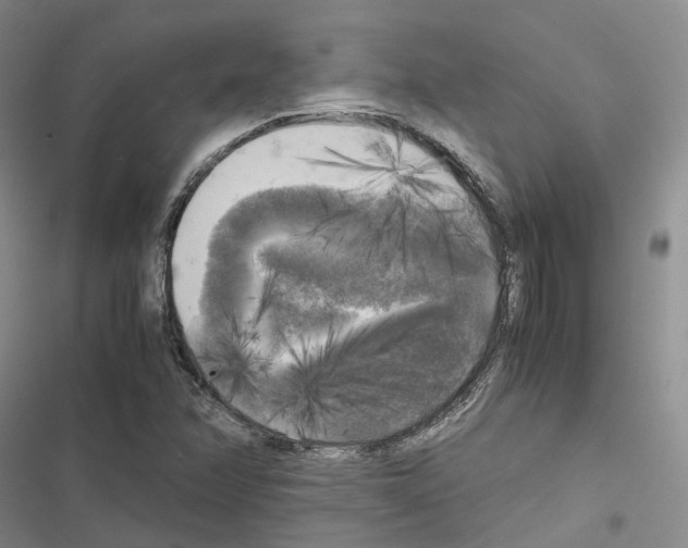 X0000116441358201001191523