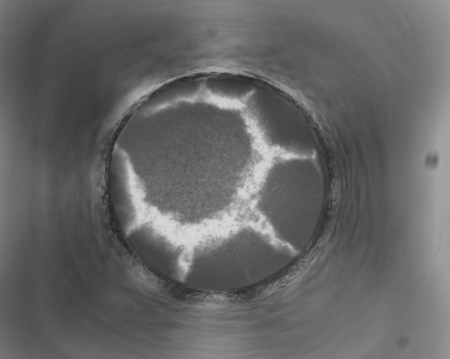 X0000116441359201001191523