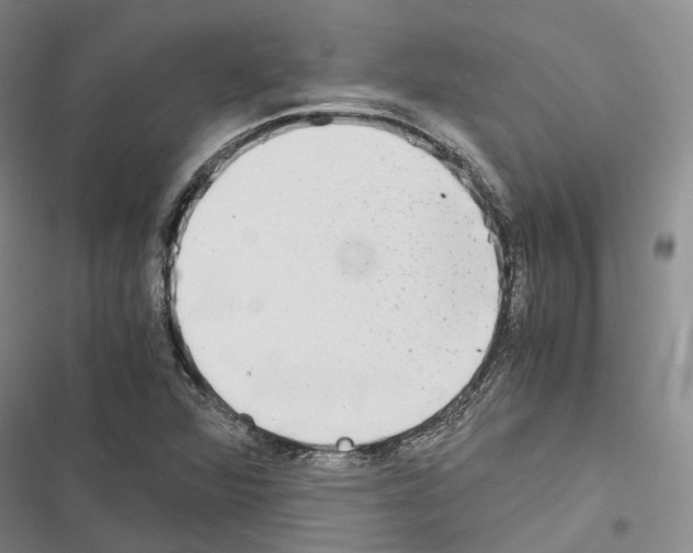 X0000116441360201001191523