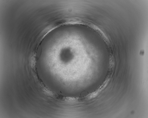 X0000116441361201001191523