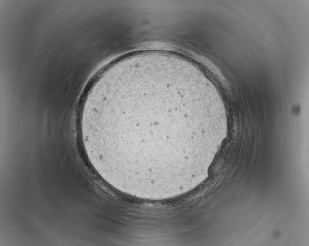 X0000116441364201001191523