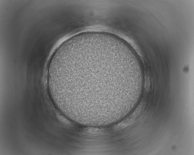 X0000116441366201001191523