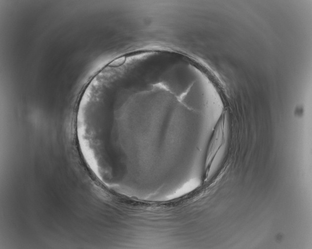 X0000116441367201001191523