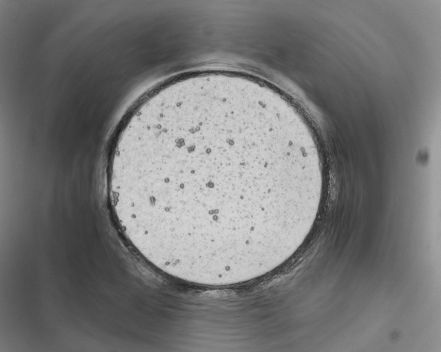 X0000116441368201001191523