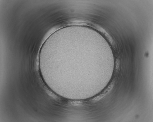 X0000116441370201001191523