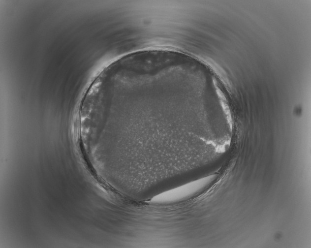 X0000116441371201001191523