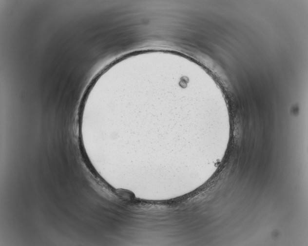 X0000116441372201001191523