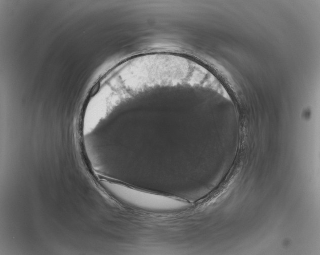 X0000116441373201001191523