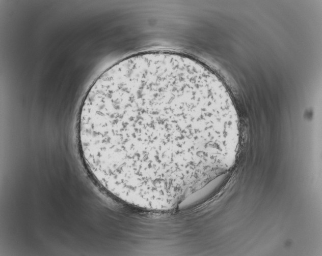 X0000116441375201001191523