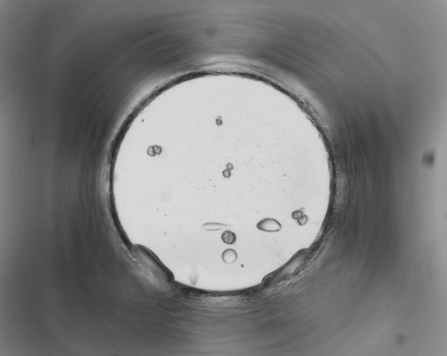 X0000116441376201001191523