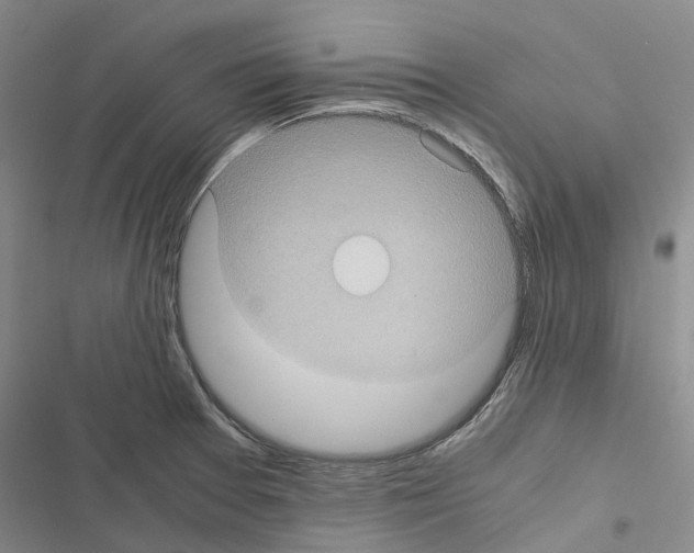 X0000116441377201001191523