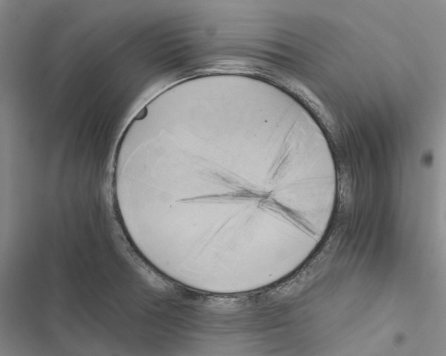 X0000116441378201001191523