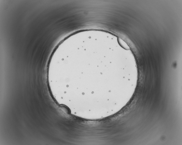 X0000116441380201001191523