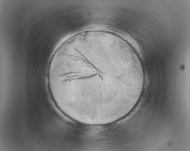 X0000116441382201001191523