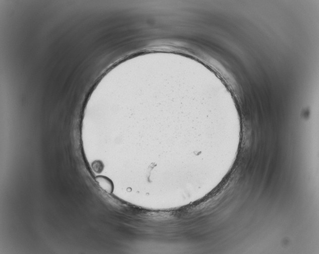 X0000116441384201001191523