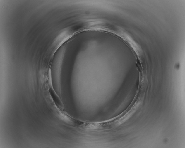 X0000116441385201001191523