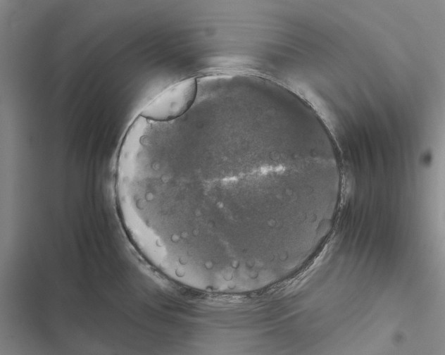 X0000116441386201001191523