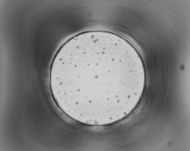 X0000116441388201001191523