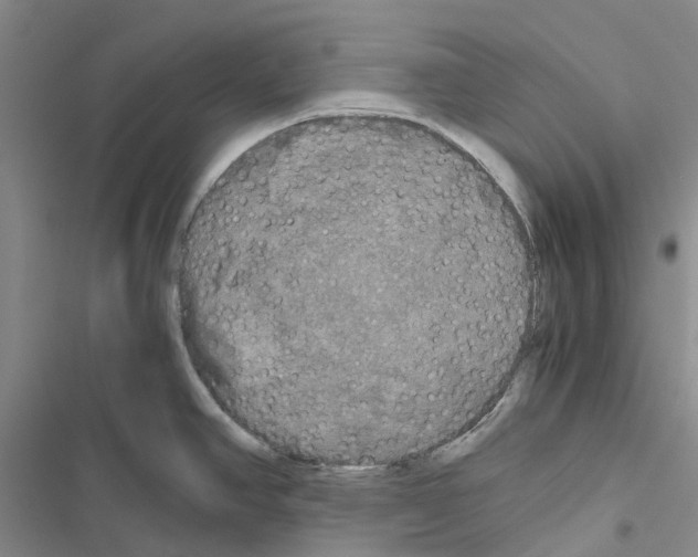 X0000116441390201001191522