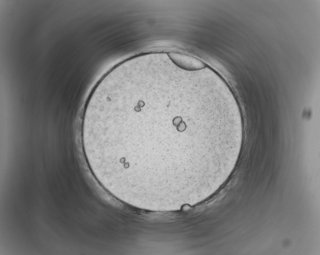 X0000116441392201001191522