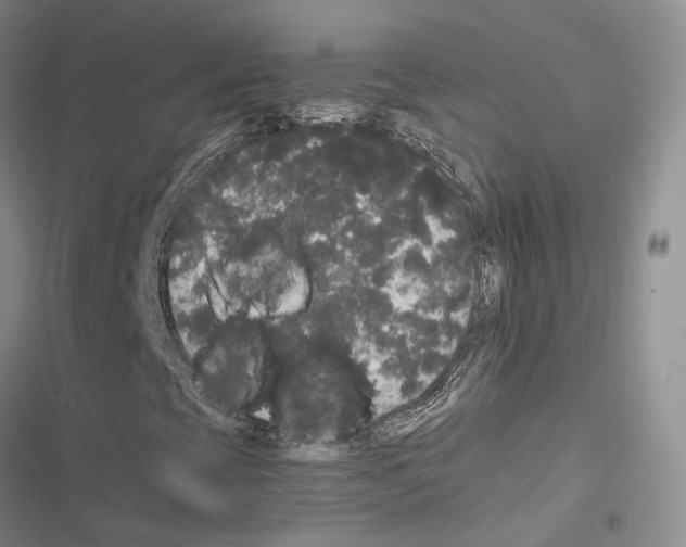 X0000116441393201001191522