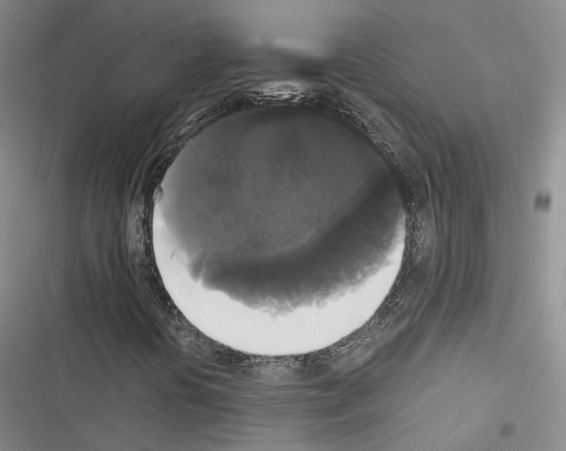 X0000116441394201001191522