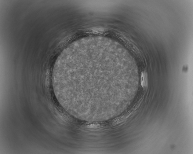 X0000116441395201001191522