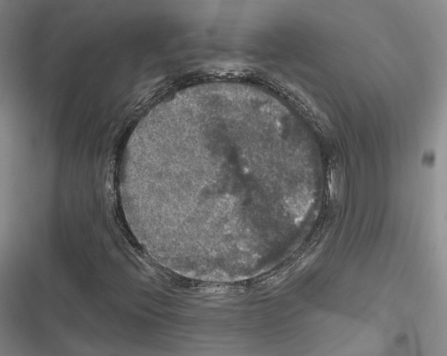 X0000116441396201001191522