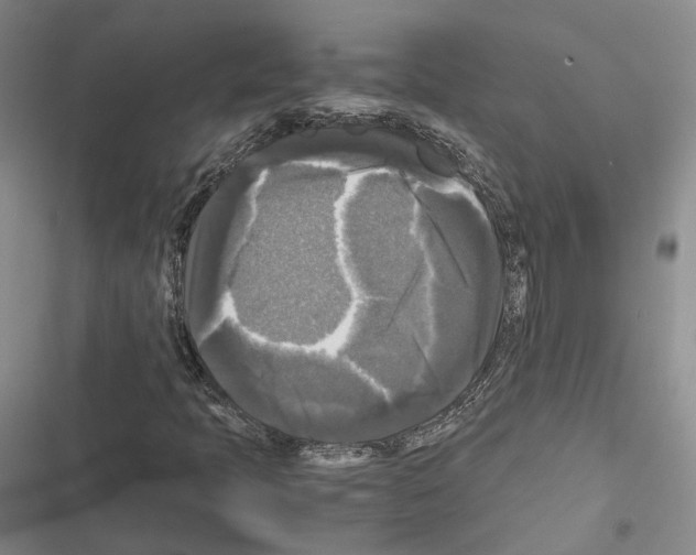 X0000116441397201001191522