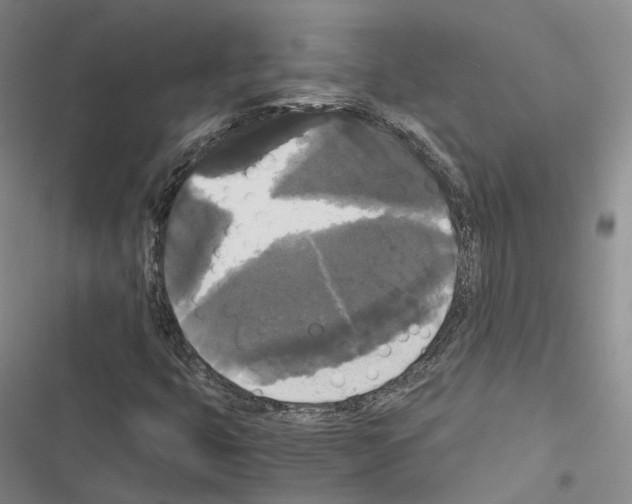 X0000116441399201001191522