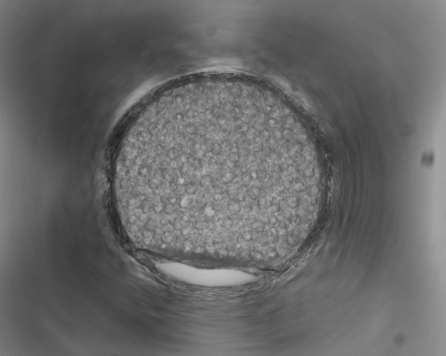 X0000116441400201001191522