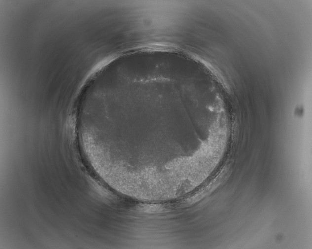 X0000116441402201001191522