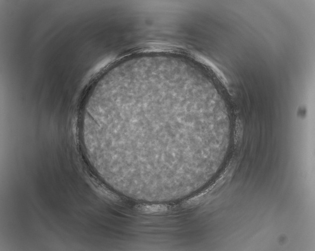 X0000116441403201001191522