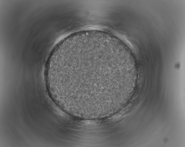 X0000116441404201001191522