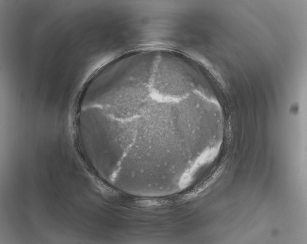 X0000116441405201001191522