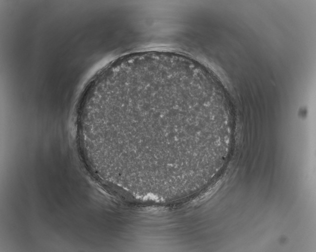 X0000116441406201001191522