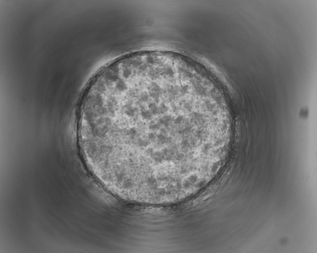 X0000116441408201001191522