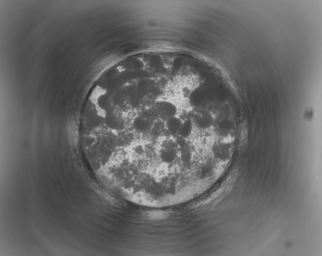 X0000116441409201001191522