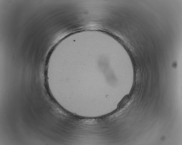 X0000116441410201001191522