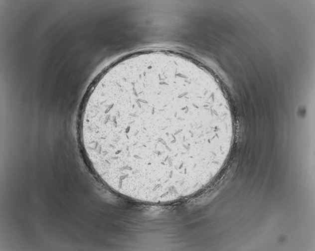 X0000116441412201001191522