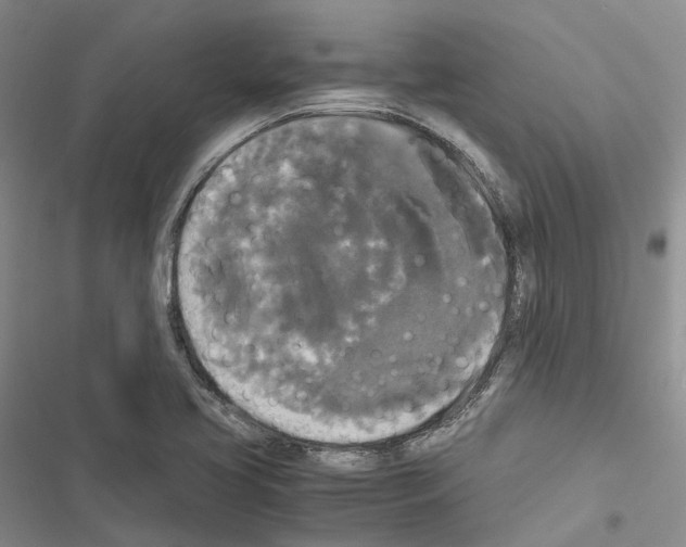 X0000116441413201001191522